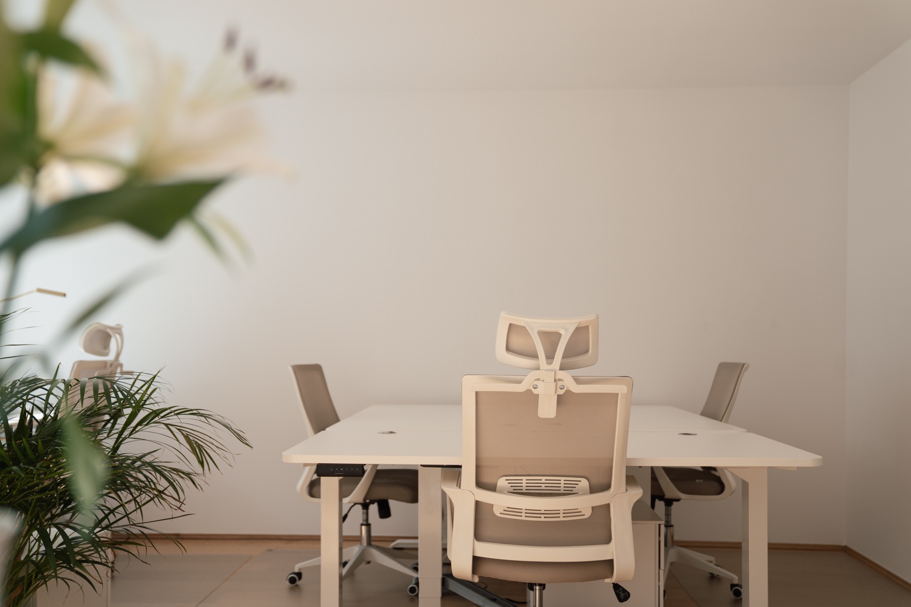 Heller Coworking-Bereich mit höhenverstellbaren Schreibtischen